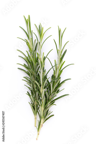 Rosemary spice on the white background.