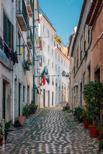Fototapeta Naklejka Na Ścianę i Meble -  A narrow cobblestone street in Alfama, Lisbon, Portugal