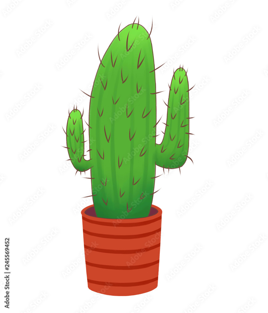 Long prickly cactus in a red pot Long prickly cactus in a red pot