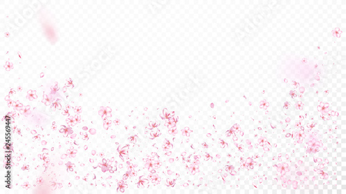 Nice Sakura Blossom Isolated Vector. Realistic Flying 3d Petals Wedding Border. Japanese Beauty Spa Flowers Illustration. Valentine, Mother's Day Spring Nice Sakura Blossom Isolated on White