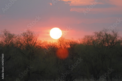 sunset