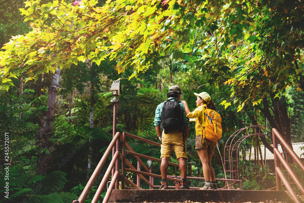 lover woman and man asian travel nature.Travel relax. Walking and studying nature in the forest. Thailand lover woman and man asian travel nature.Travel relax. Walking and studying nature in the forest. Thailand