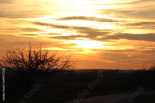 sunset