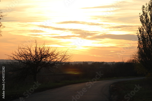 sunset