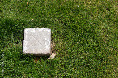 Cadastral Boundary Stone with precise cross in the green grass