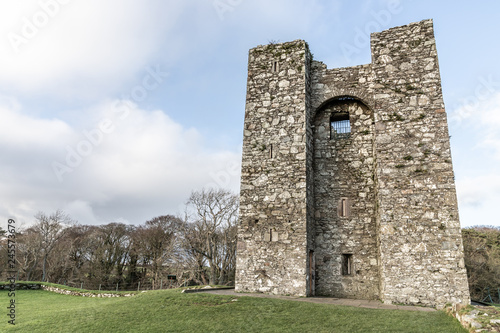 Audleys Castle in Strangford photo