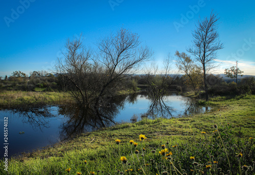 Madrona Marsh Preserve, Torrance, Los Angeles County, California photo