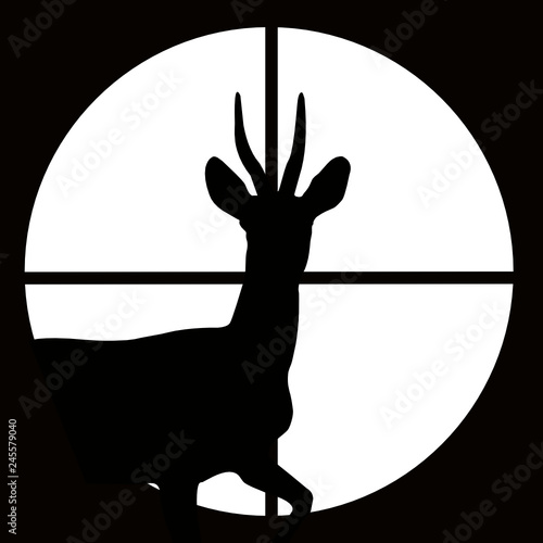 Roe at gunpoint