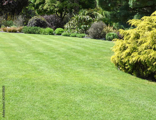 A perfect English country garden