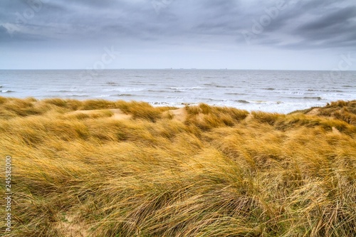 Fototapeta Naklejka Na Ścianę i Meble -  Beautiful seaside landscape - coast of South Holland with grass covered sand dunes, the Netherlands
