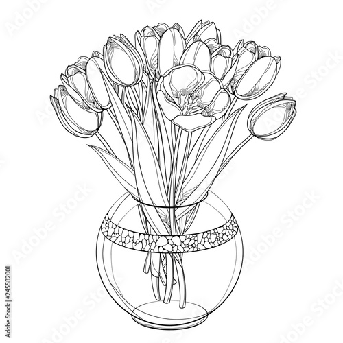 Vector bouquet with outline tulip flowers, bud and ornate leaves in transparency round vase in black isolated on white background. Bunch of contour tulips for spring design or coloring book. 