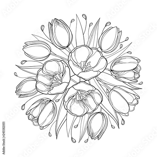 Vector top view round bouquet with outline tulip flowers, bud and ornate leaves in black isolated on white background. Bunch of contour tulips for greeting spring design or coloring book. 