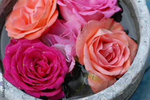 bouquet of pink roses