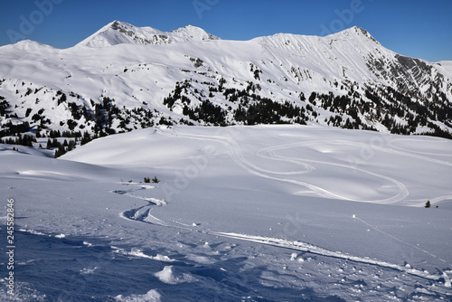 Fototapeta Naklejka Na Ścianę i Meble -  Traces dans la neige dans l'Oberland bernois, Suisse