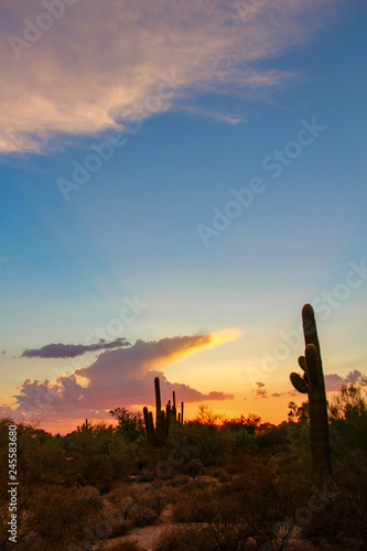 Warm sunset in Scottsdale Arizona 