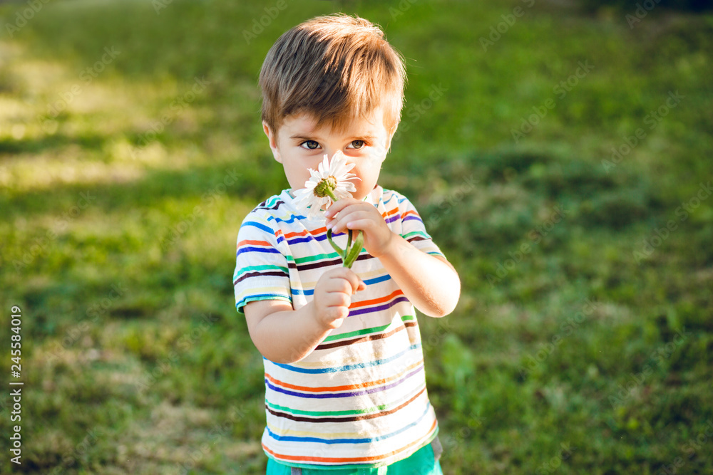 Little cute boy smelling a flower in summer garden and looks happy Little cute boy smelling a flower in summer garden and looks happy