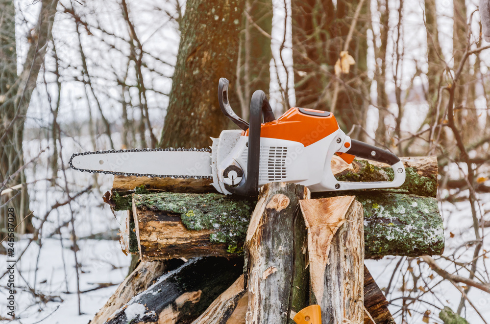 Chain saw on cut logs into the woods. Forest clearing, tree cutting, ecology. Chain saw on cut logs into the woods. Forest clearing, tree cutting, ecology.