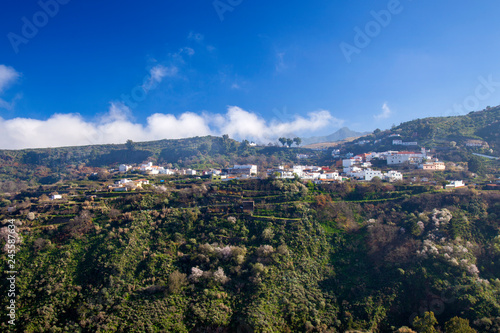 Gran Canaria, January