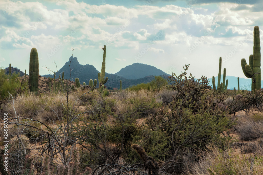 Overcast Day Hiking In Scottsdale Arizona