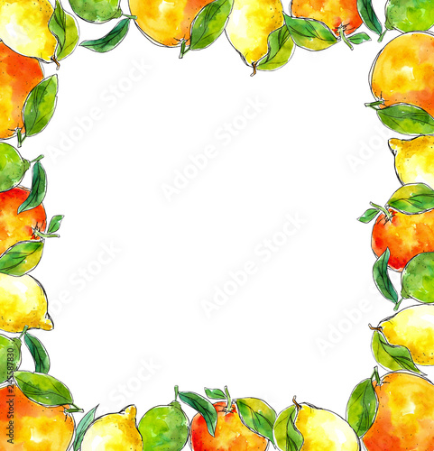 Fototapeta Naklejka Na Ścianę i Meble -  watercolor hand-drawn frame of citrus: lemon, lime, tangerine, orange.  Great for packaging juices, ice cream and other citrus fruit products