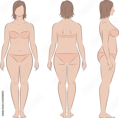Female silhouette. Body fullness. Front, back, side