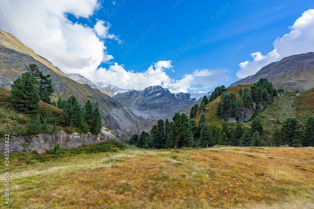 Obraz premium Mountains, peaks, lake, everlasting ice and trees landscape. Kaunertaler Gletscher natural environment. Hiking in the alps, Kaunertal, Tirol, Austria, Europe