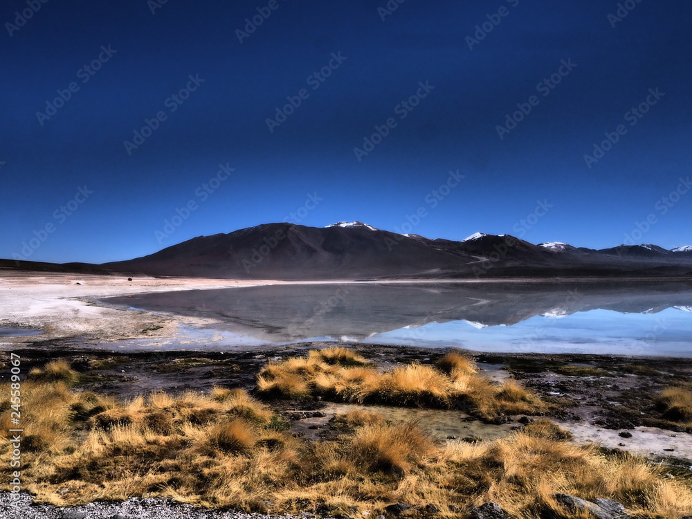 Laguna Colorada - Desert du sud lipez Laguna Colorada - Desert du sud lipez