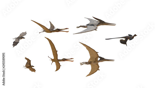 different flying dinosaurs on white background render 3d