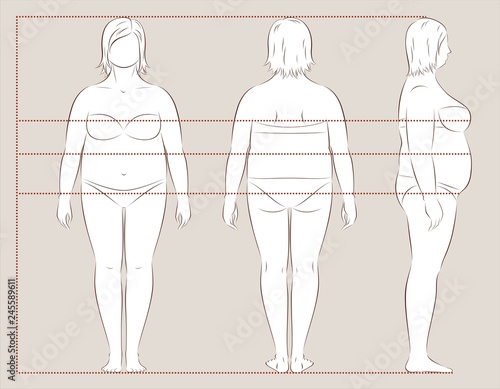 Female body lines and proportions for sewing