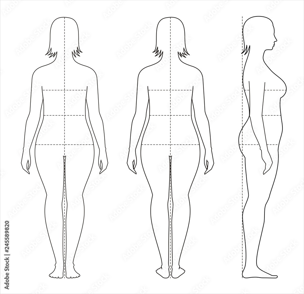 Female body lines and proportions for sewing Stock Vector Adobe Stock