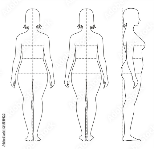 Female body lines and proportions for sewing