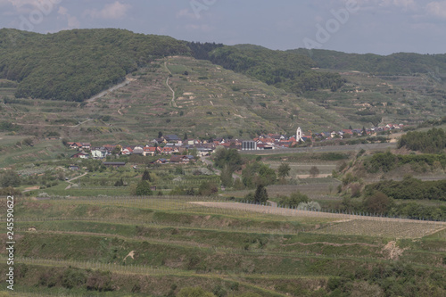 Weinberge im Kaiserstuhl