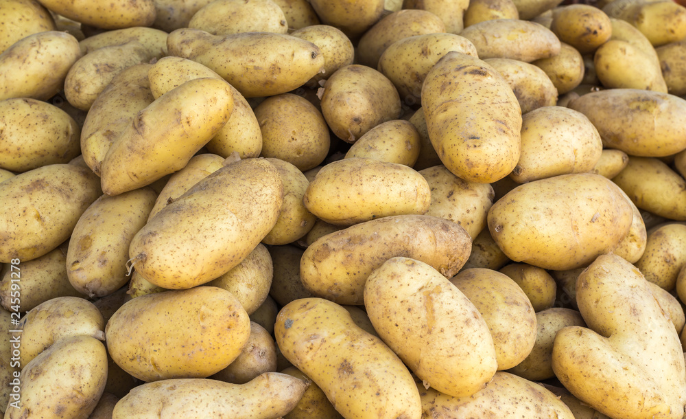 Potato Potato