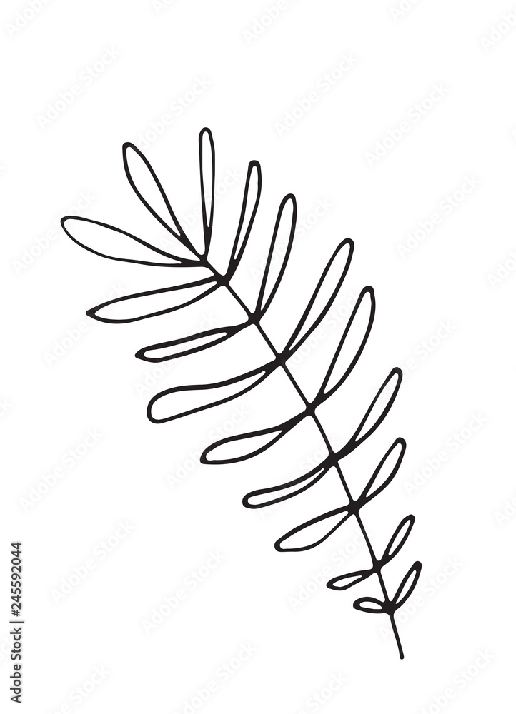 Hand-drawn sketch of a plant, isolated on white background. Abstract summer Vector illustration.