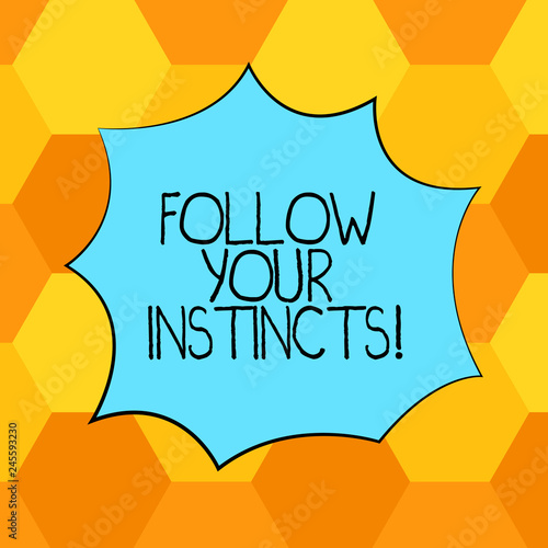 Handwriting text Follow Your Instincts. Concept meaning listen to your intuition and listen to your heart Blank Color Explosion Blast Scream Speech Bubble photo for Promotion Ads
