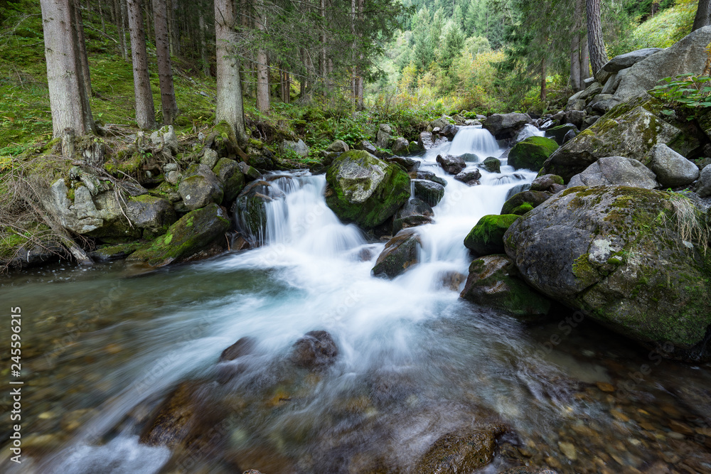 Mountain river and trees landscape. Kaunertaler Gletscher natural environment. Hiking in the alps, Kaunertal, Tirol, Austria, Europe. Mountain river and trees landscape. Kaunertaler Gletscher natural environment. Hiking in the alps, Kaunertal, Tirol, Austria, Europe.
