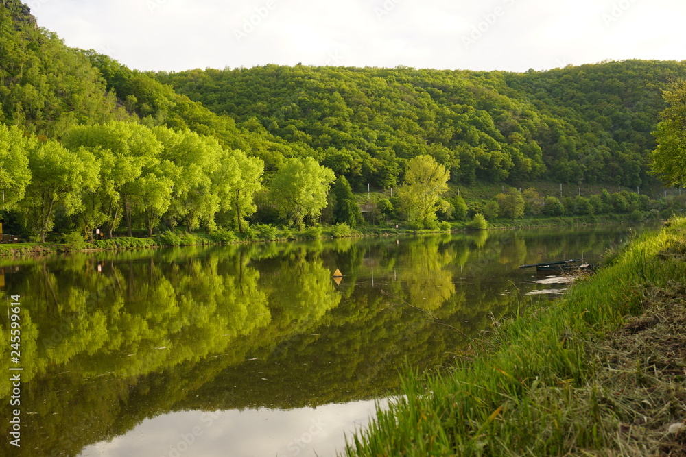 A picturesque view on calm Vlata river reflecting green spring forest, mountains, covered with trees, and lush young grass few kilometers North from Prague (Czech Republic)