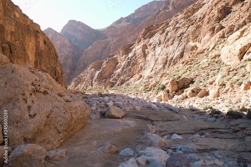 beautiful desert landscape of Todra Gorge in high atlas in morocco