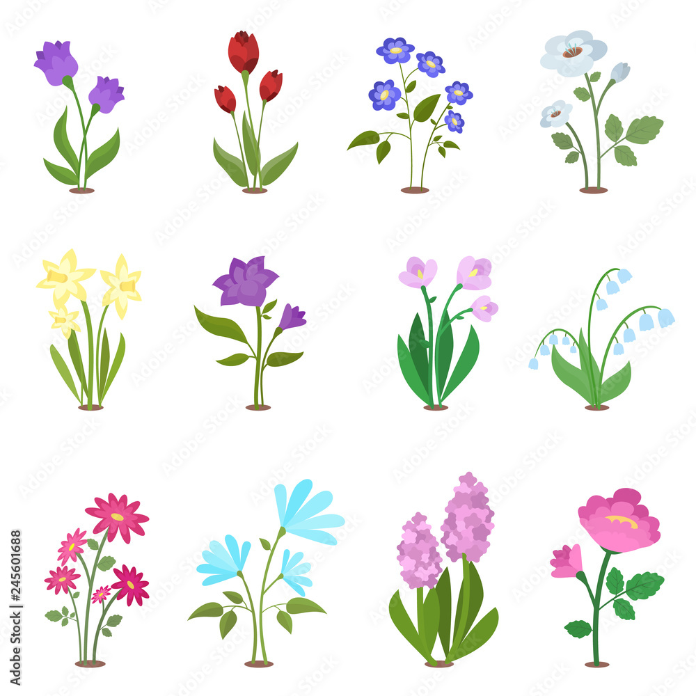 Spring Flowers With Paper