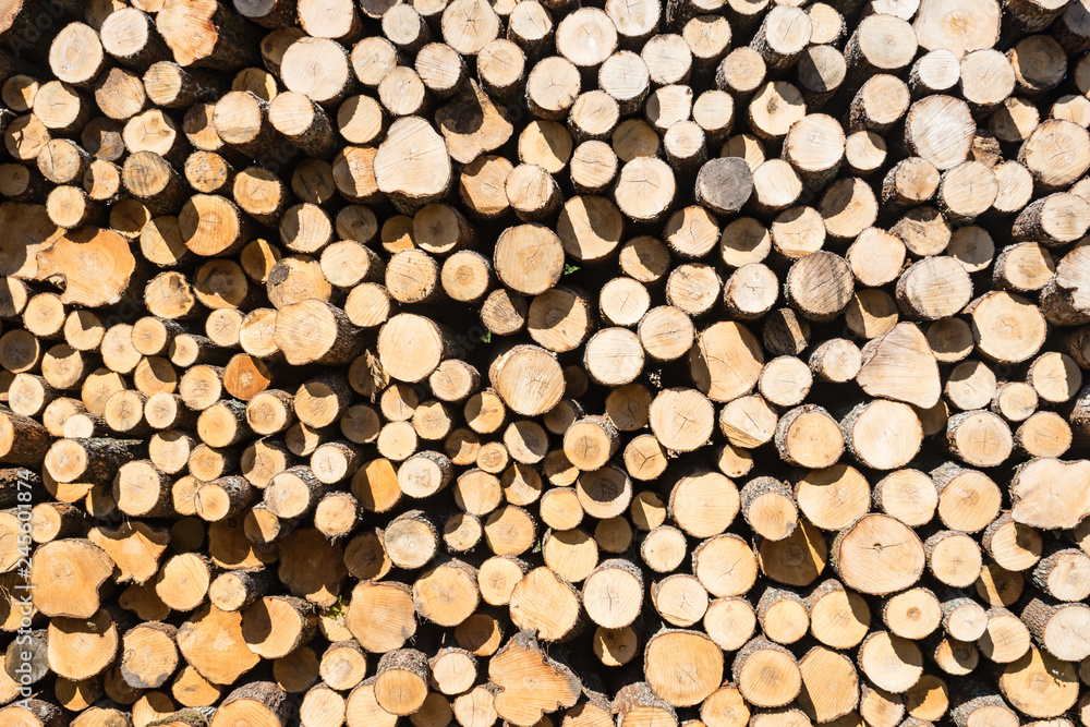 Wood, stacked and cut natural texture. Conifer stack pattern. Hardwood background. Wood, stacked and cut natural texture. Conifer stack pattern. Hardwood background.