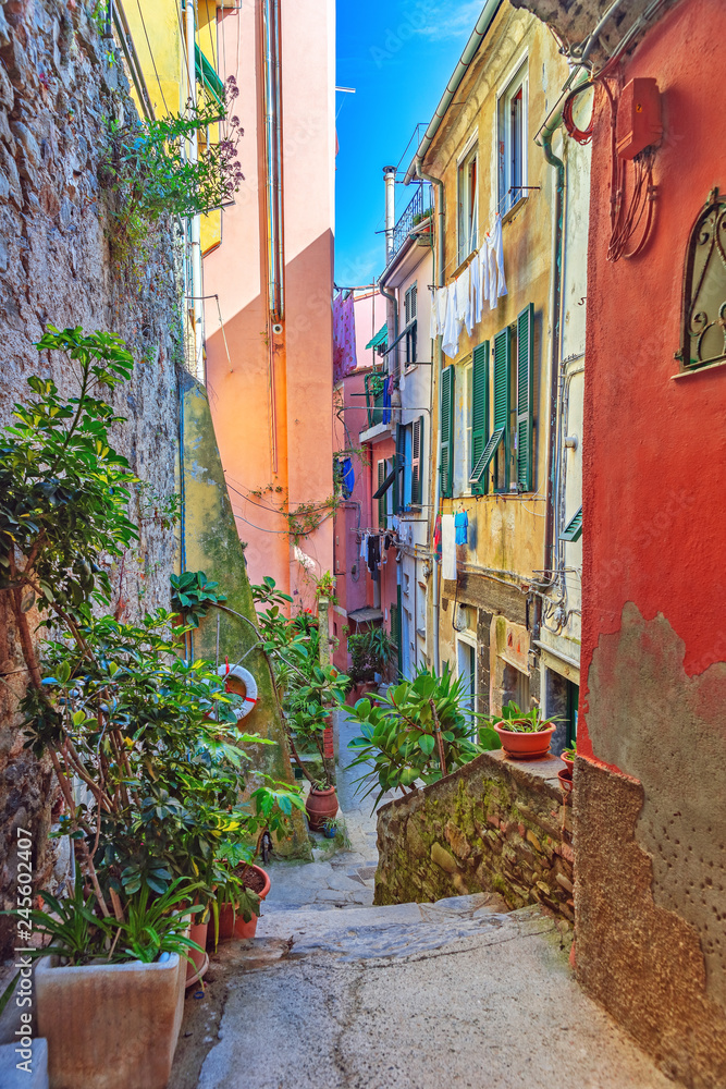 Fototapeta Piękna aleja w Vernazza, Stary grodzki Liguria, Włochy, Europa