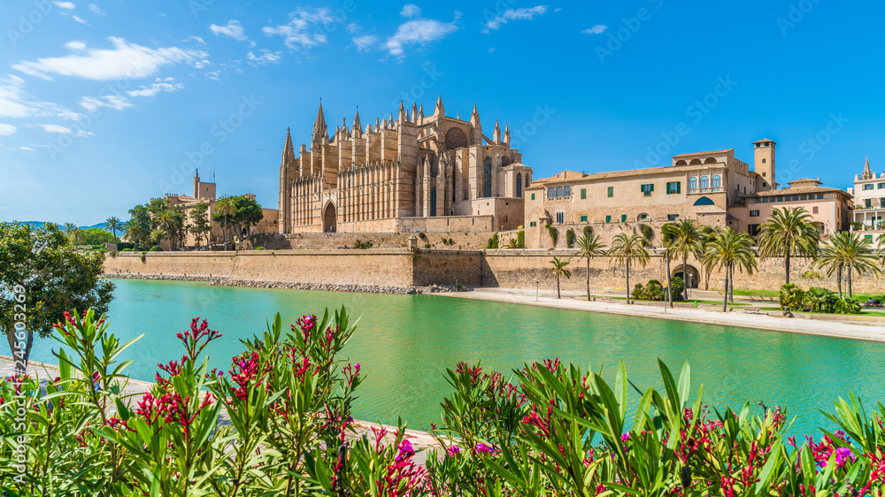Landscape with Cathedral La Seu, Palma de Mallorca islands, Spain