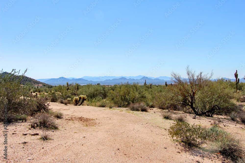 Trail in North Scotsdale