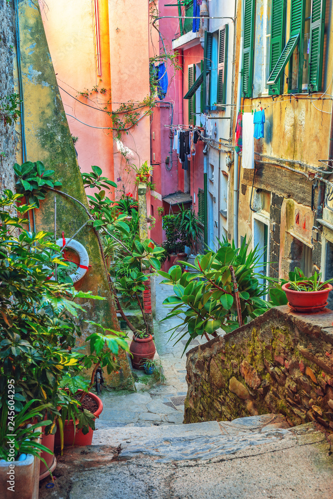Beautiful alley in Vernazza, Old town Liguria, Italy, Europe