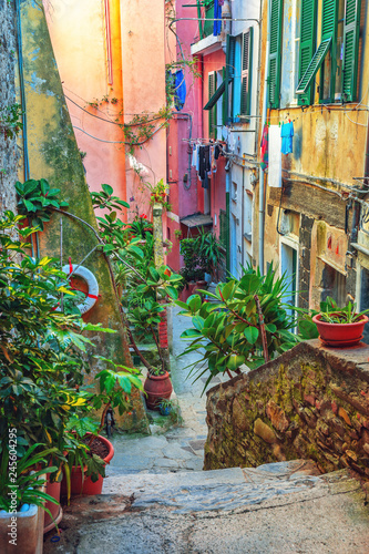 Beautiful alley in Vernazza, Old town Liguria, Italy, Europe