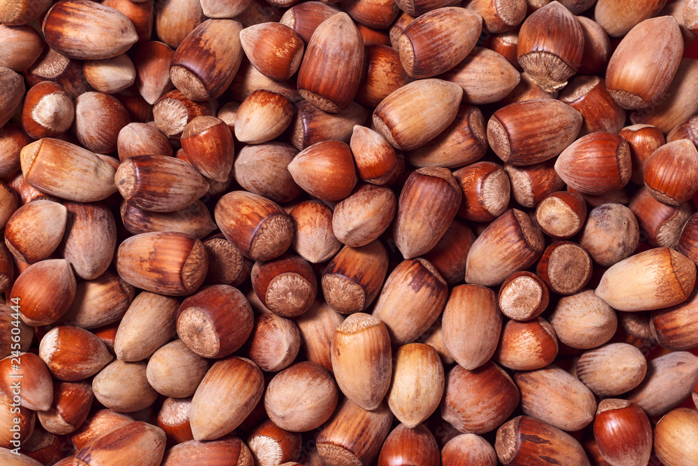 background - wild hazelnuts of different sizes background - wild hazelnuts of different sizes