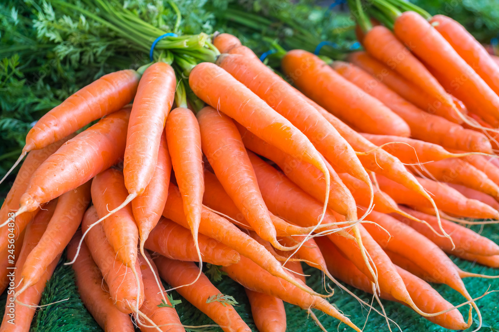 organic baby carrots at the weekend farmer market in Paris