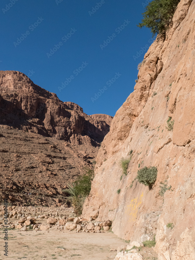 beautiful desert landscape of Todra Gorge in high atlas in morocco