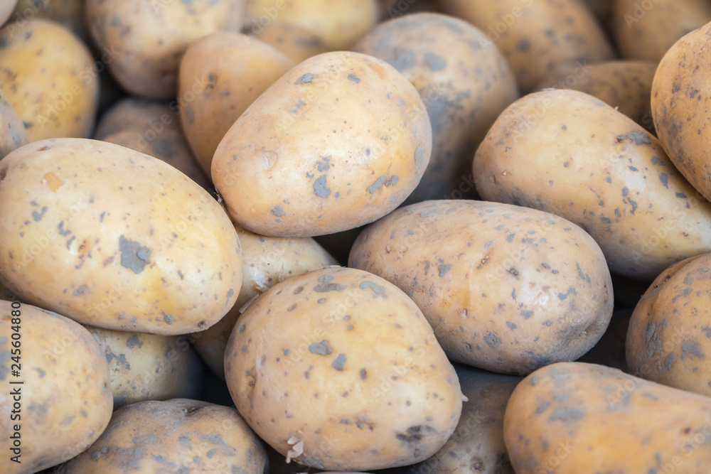 Fresh Organic Potato at the Farmer Market, Raw Food Fresh Organic Potato at the Farmer Market, Raw Food
