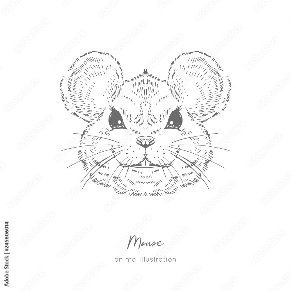 Symmetrical Vector portrait illustration of mouseHand drawn ink realistic sketching isolated on white. Perfect for logo branding coloring book design.